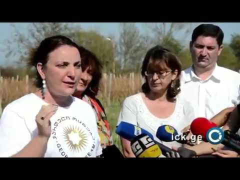 როგორ ატყუებდნენ ხალხს წინასაარჩევნოდ 2012 წელს